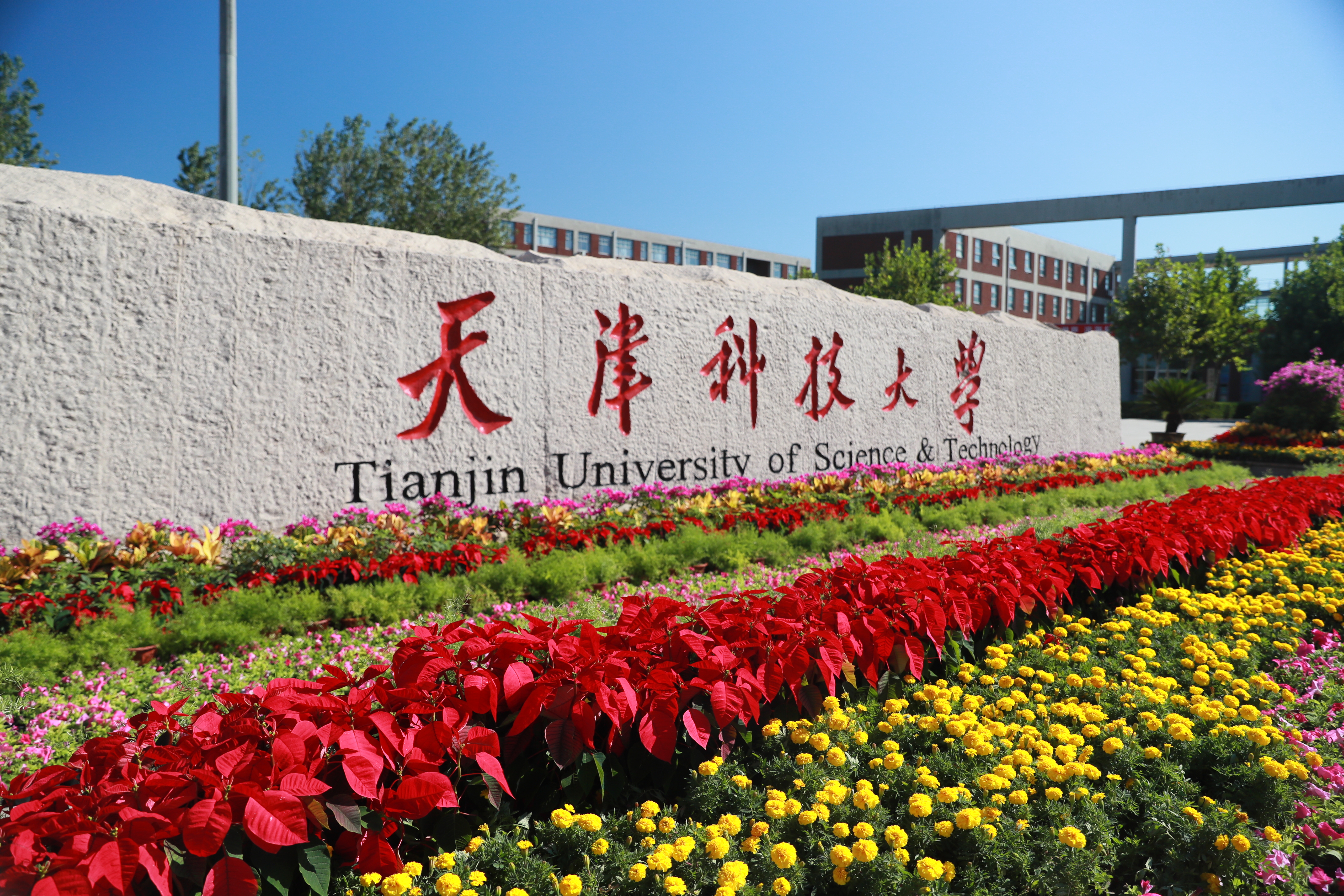 天津科技大学怎么样（或许）