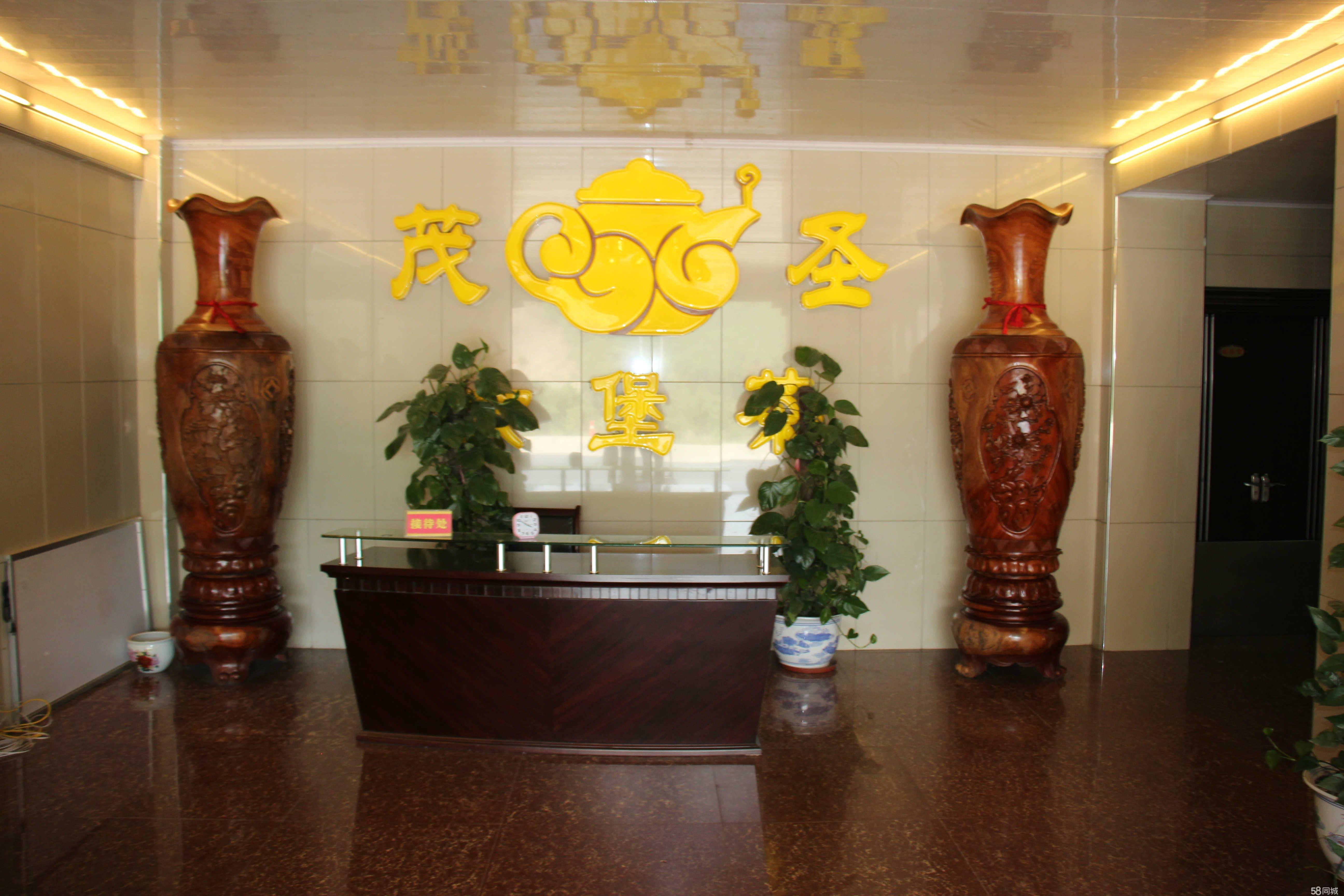 探索梧州国潮好物之旅——六堡茶：春天里的追茶人