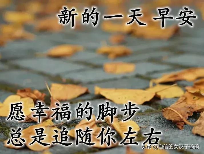 晚秋十月，愿你有衣暖身，有人暖心，不畏风霜，无惧忧伤。早安