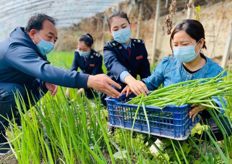 鄉鎮公務員實現“逆襲”，薪資待遇將超縣城公務員，鐵飯碗更鐵了