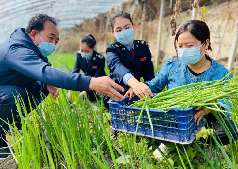 乡镇公务员实现“逆袭”，薪资待遇将超县城公务员，铁饭碗更铁了