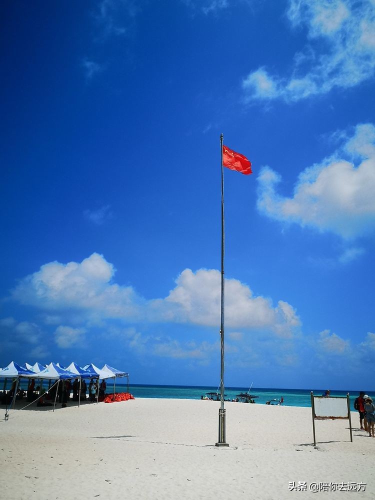 西沙~南海中的一片莲