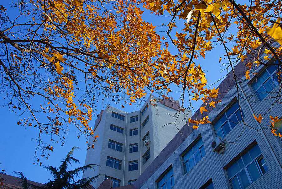 就业率98％以上！2020年，这所北京高校值得报考，吃住条件相当好！