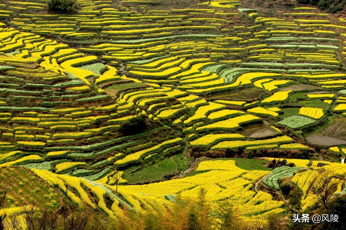 江西必去的几大旅游景点，最后一个被誉为“中国革命的摇篮”