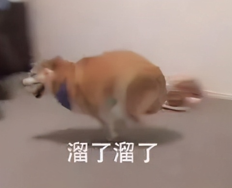 超80所海外高校寒假计划发布：最短只放11天……