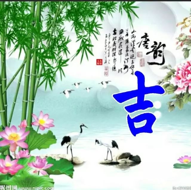 以竹报平安，家和富贵为题的姓氏微信头像（100张），太漂亮了