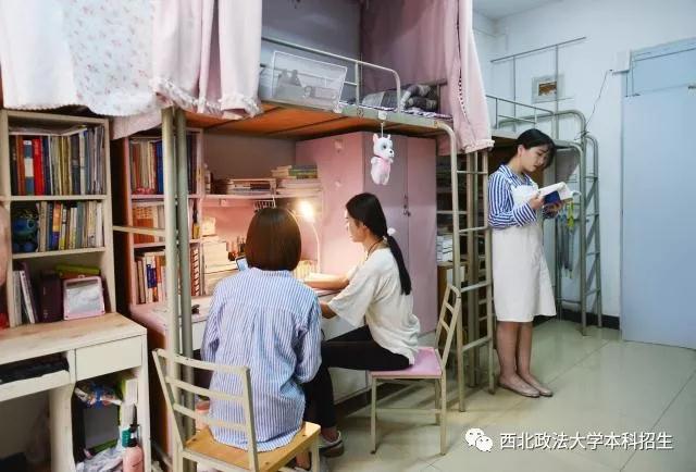 网红餐厅、空调宿舍、