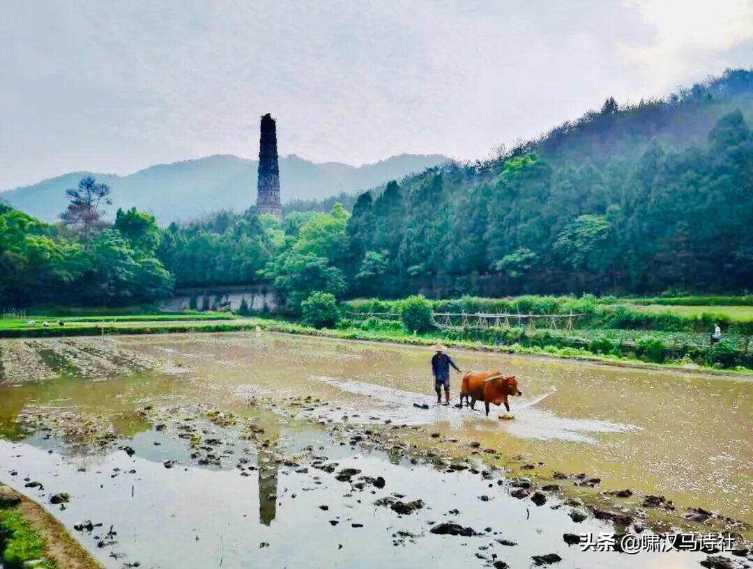 兴来穷尽清溪水，云自悠悠人自闲——啸汉马诗社雅集第三十八辑
