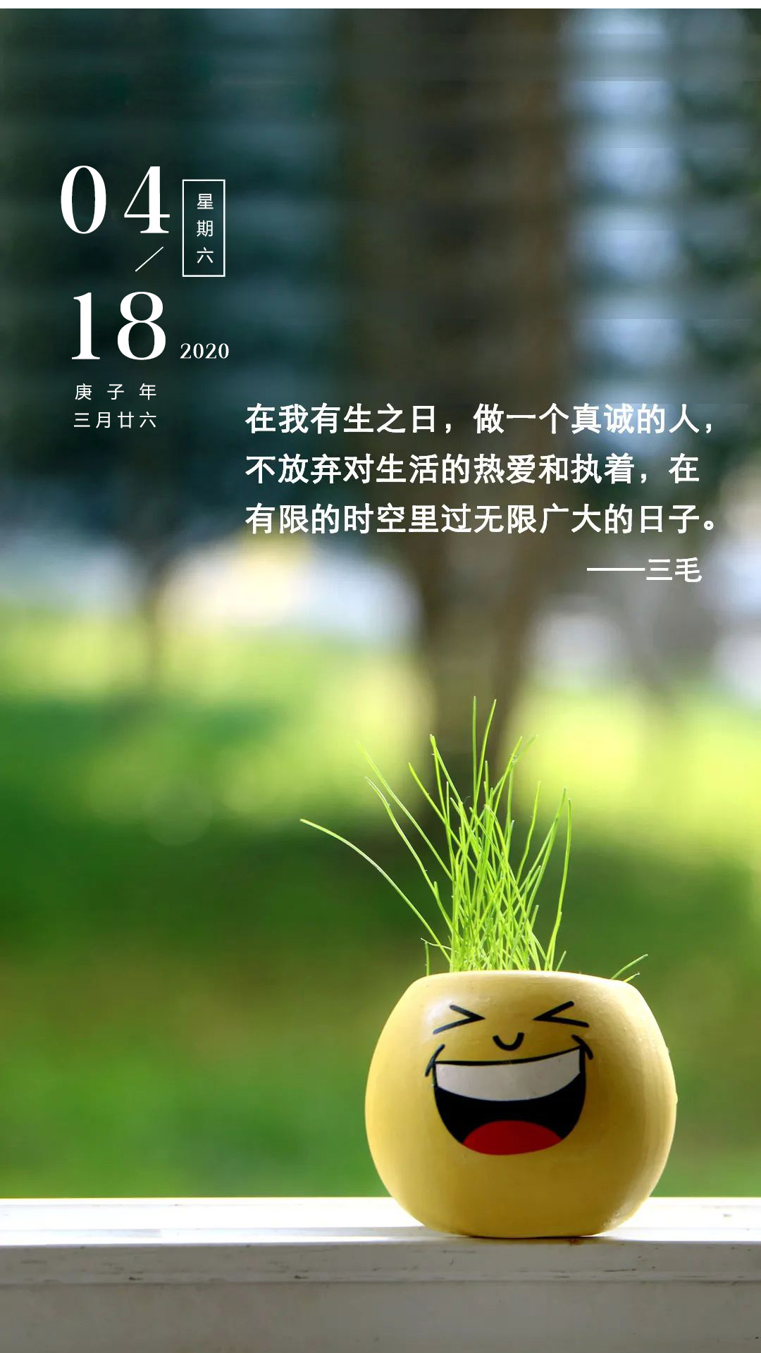 周末早安心语图片正能量带字：愿你所到之处，遍地阳光