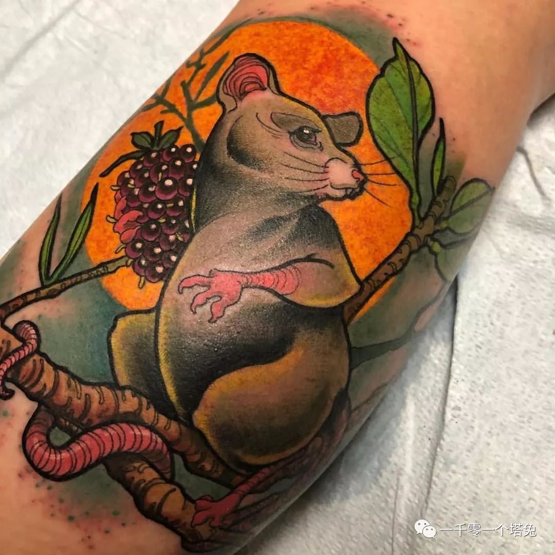 纹身图案分类第9期-动物-老鼠