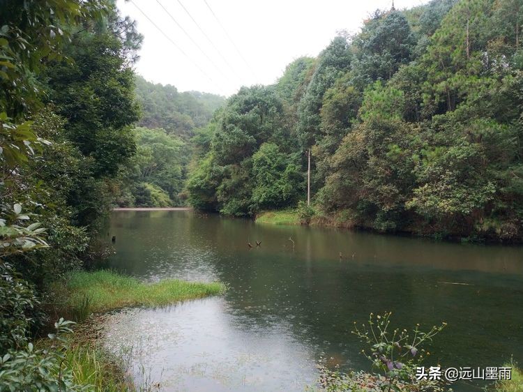 马龙到曲靖要多久(昆明走进自然户外｜香炉山穿越滴翠山，曲靖马龙雨中行，别有滋味)