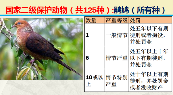 二级保护动物（国家最新125类二级野生保护名录）