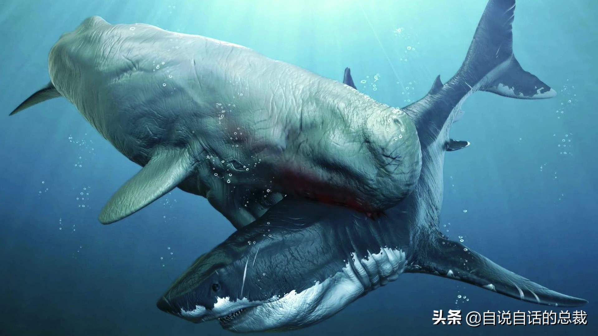 5种比巨齿鲨还恐怖的海怪，背后隐藏着一个人类起源的故事