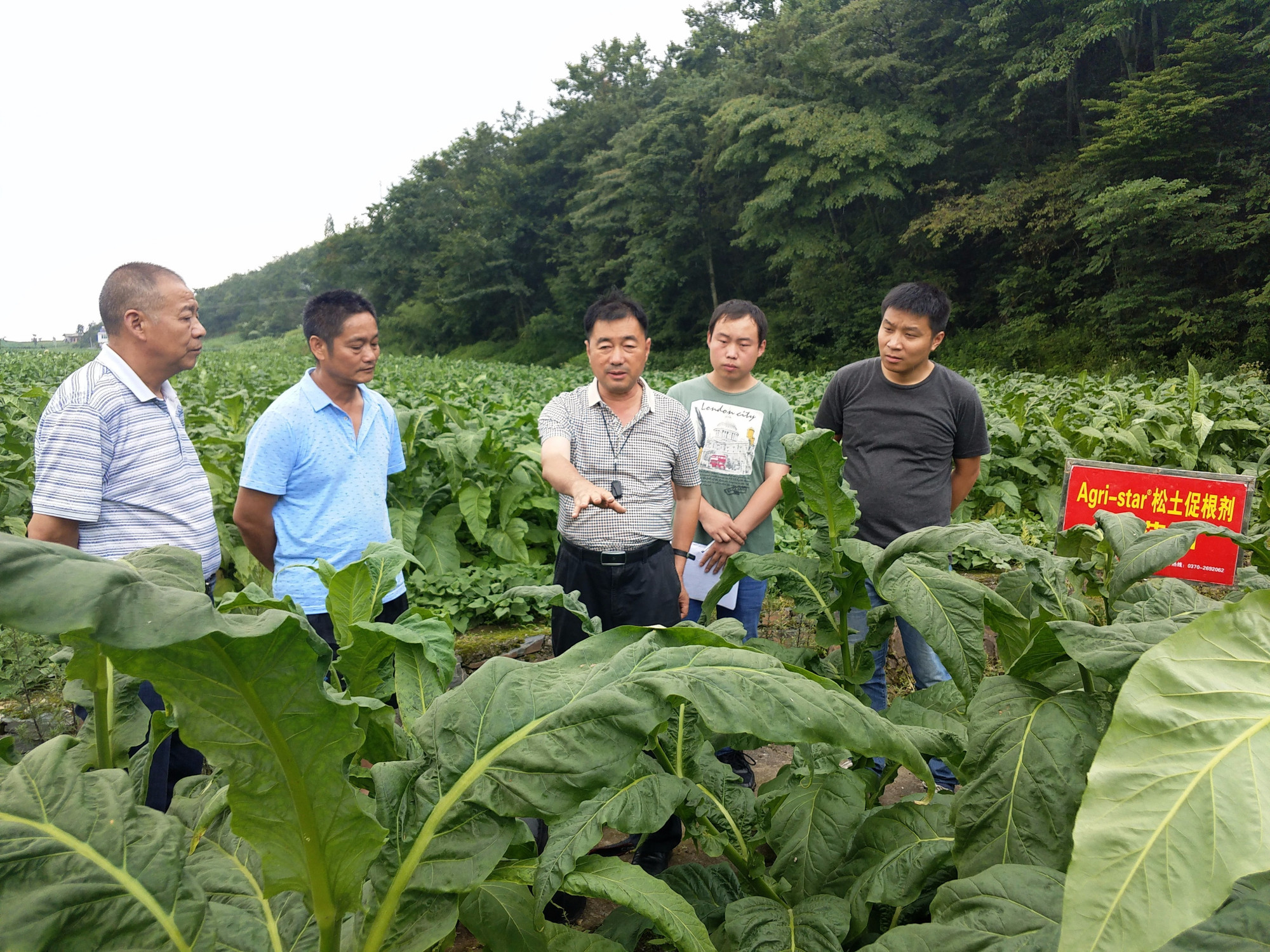 發展綠色農業，土壤改良是關鍵
