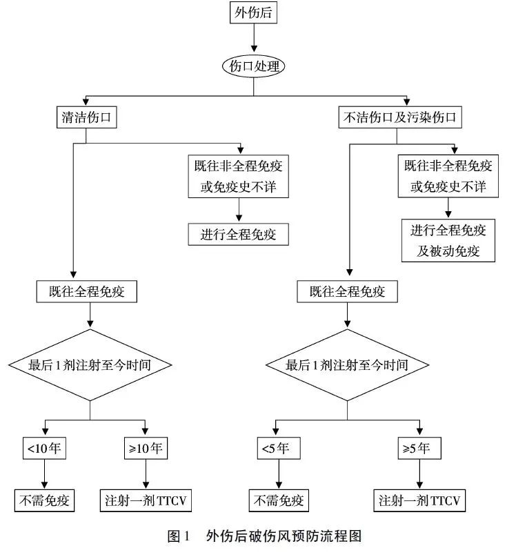 割伤了,这些情况要打“破伤风针”,做错有风险