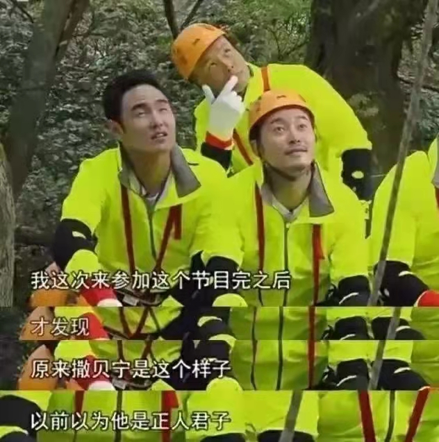 18岁保送北大，娶外国妻子生下龙凤胎，撒贝宁才是人生大赢家