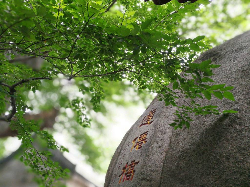 老子：当你感到消沉时，试着做减法，清静下来，心情会逐渐明朗