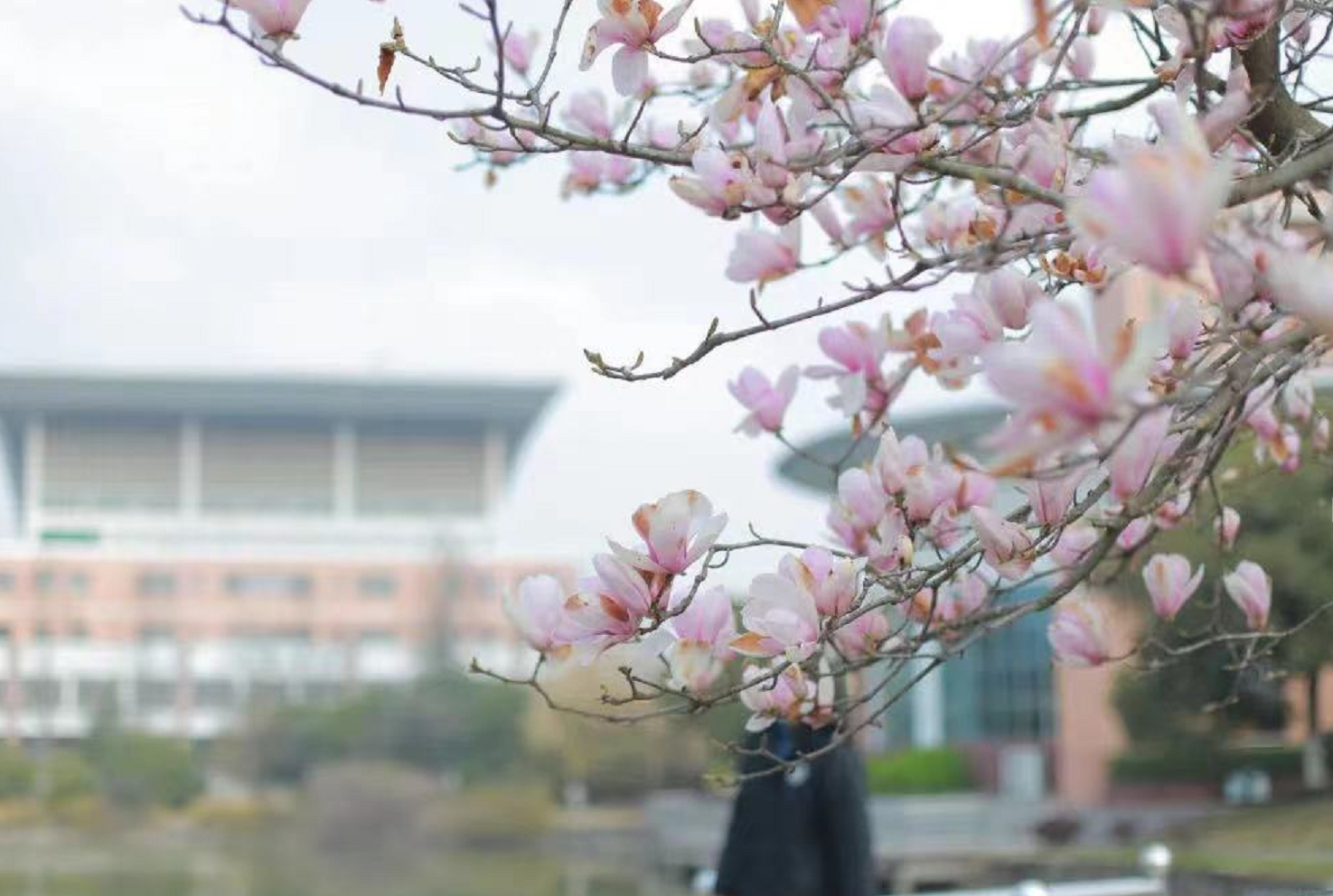 高校春色——滁州学院