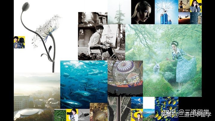 「赴日留学」设有摄影专业的大学（学部）