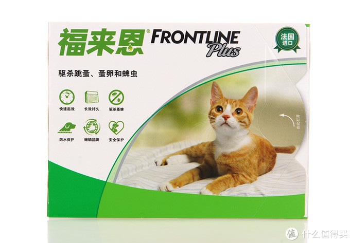 新手养猫指南——养猫一年我花了多少钱？看完我震惊了