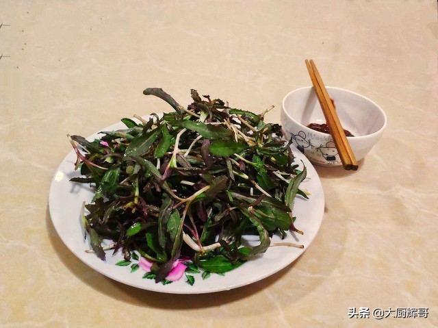 东北蒲公英（清明过后春季6种野菜莫错过）