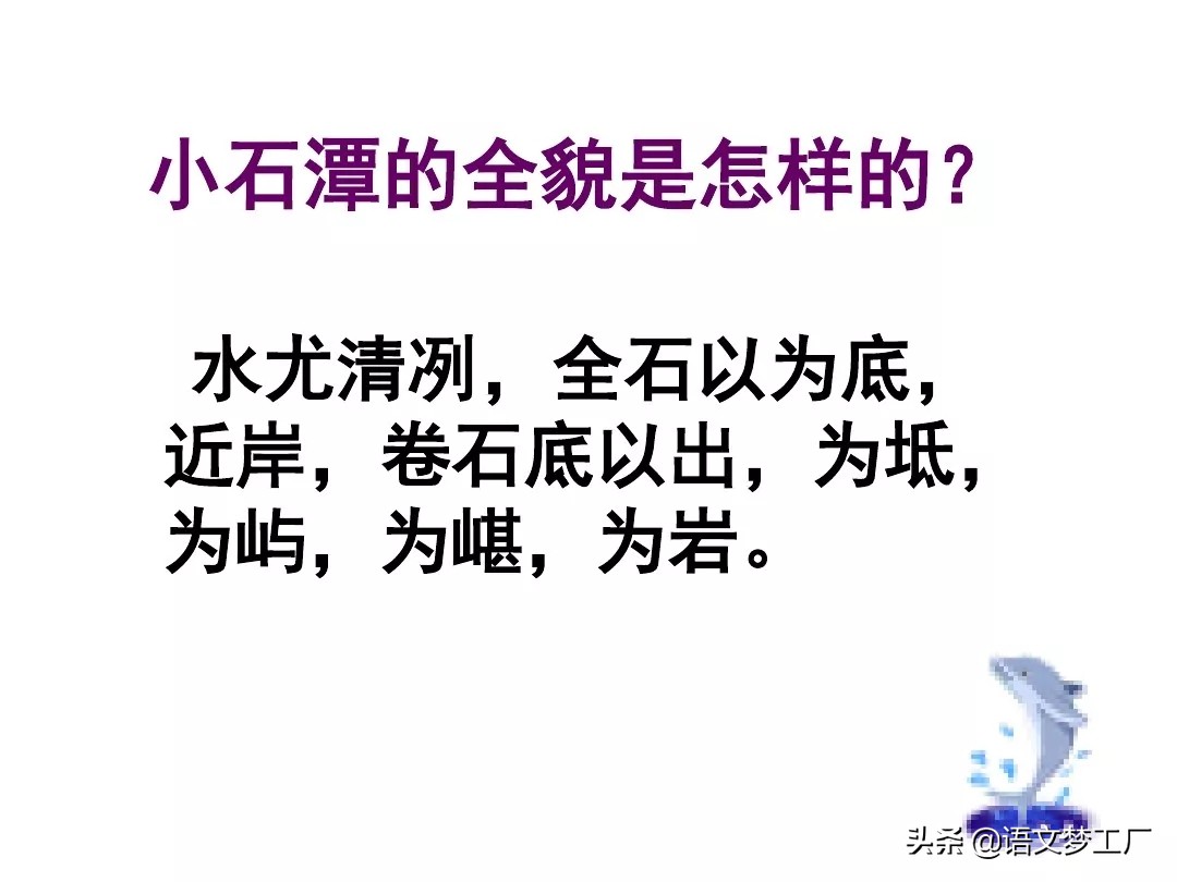 初中语文读讲练：八下三单元《小石潭记》