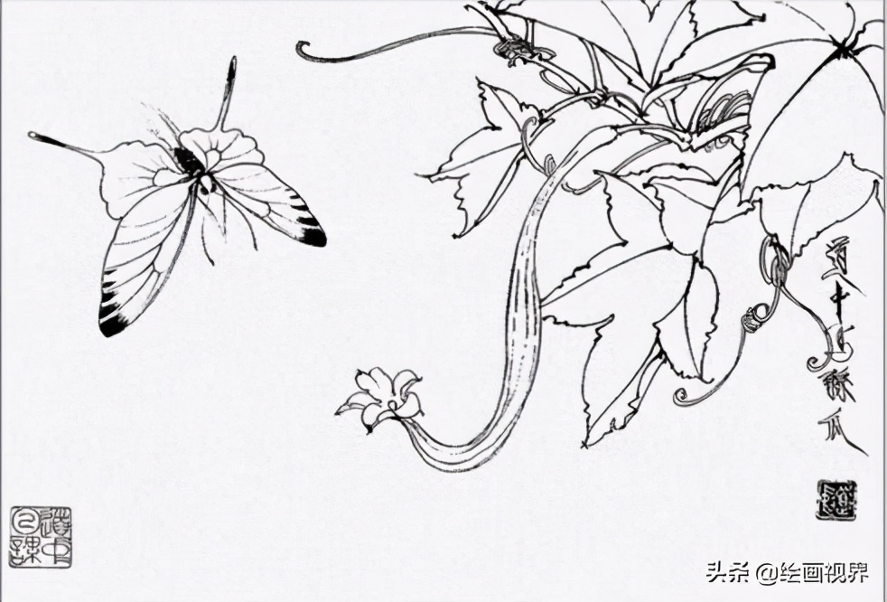 蝴蝶的画法遵循以意描画,才是白描花卉中蝴蝶正确的画法