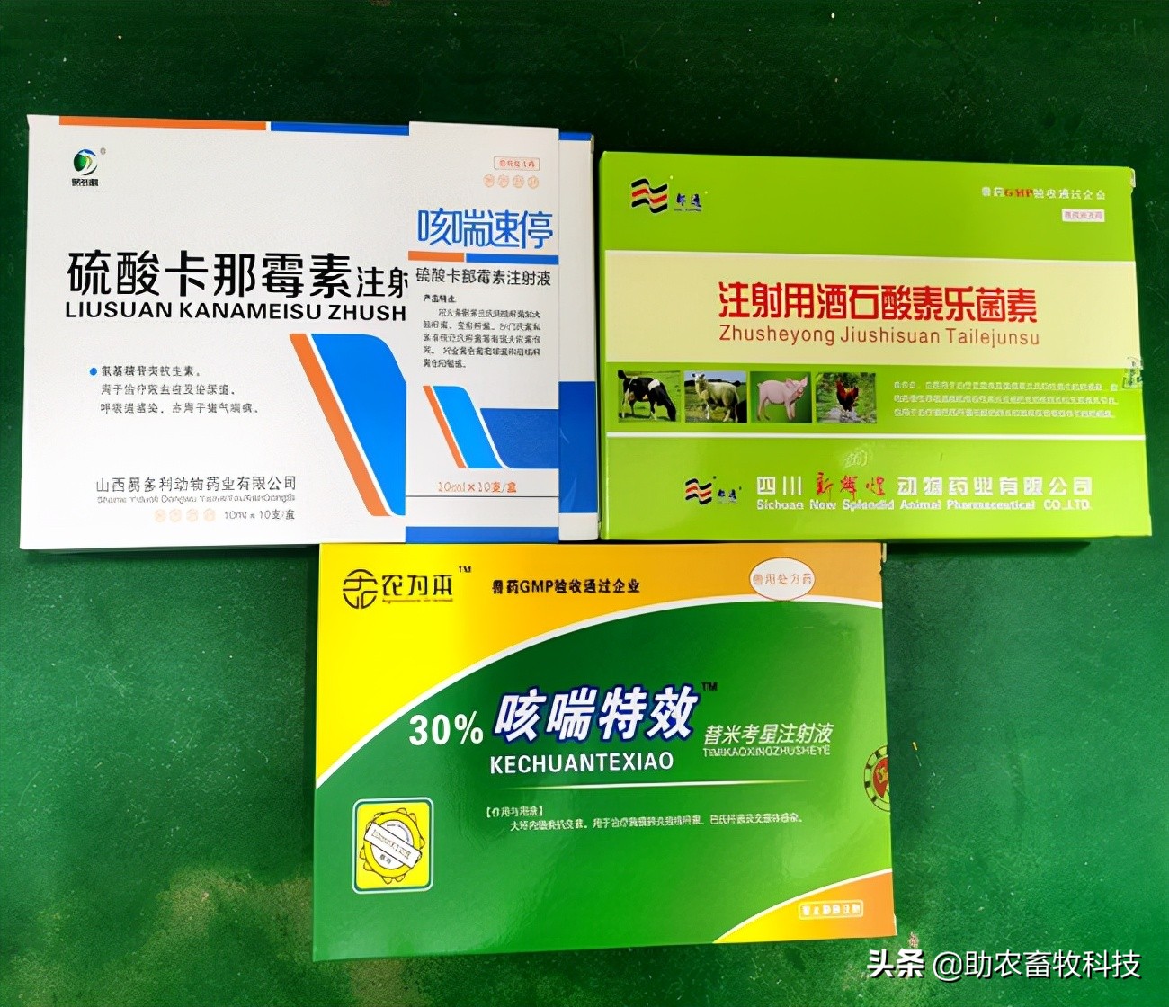 猪场10种常见疾病的症状以及用药防治方案