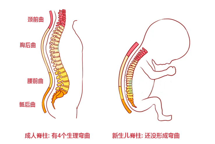 新生儿出生后，不能对宝宝做的9件事，家长早知道别影响娃发育