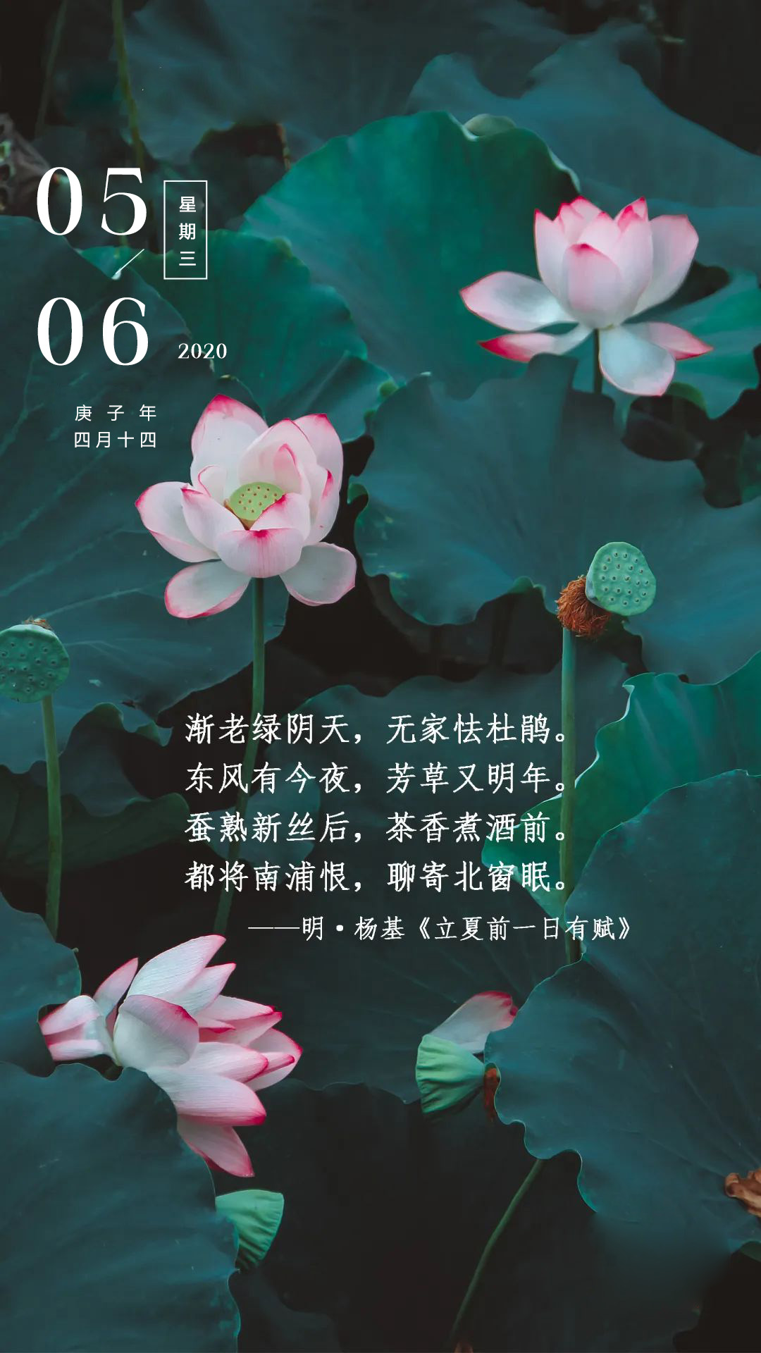 周三早安心语正能量图片日签加字：没有做不成的梦，只有不早醒的人！