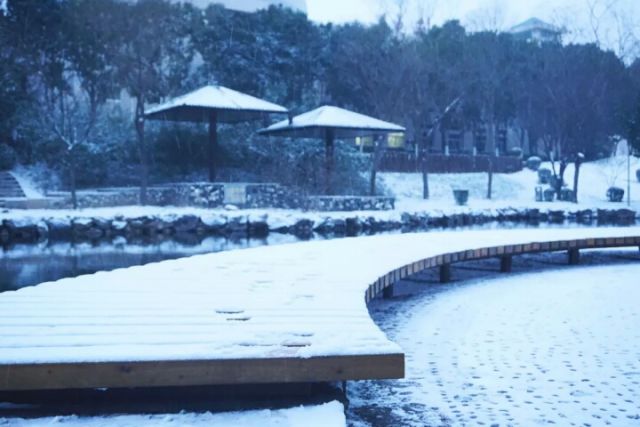 也许，这是全陕西“最特殊”的一张身份证了吧