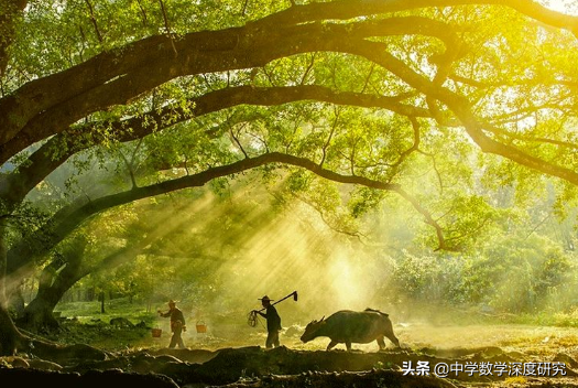 万物有灵，诡秘难测的术数，来自远古的高等数学