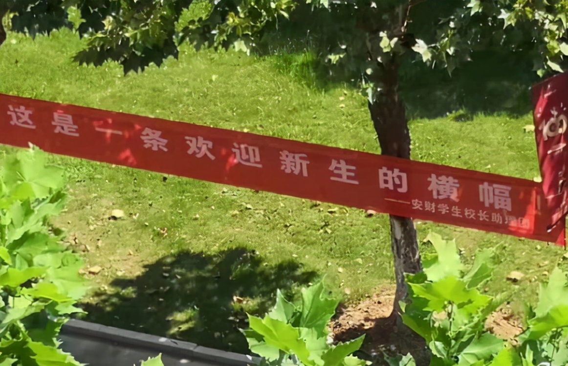 又是一年开学季，安徽财经大学迎新标语走红，每条都不让学生失望