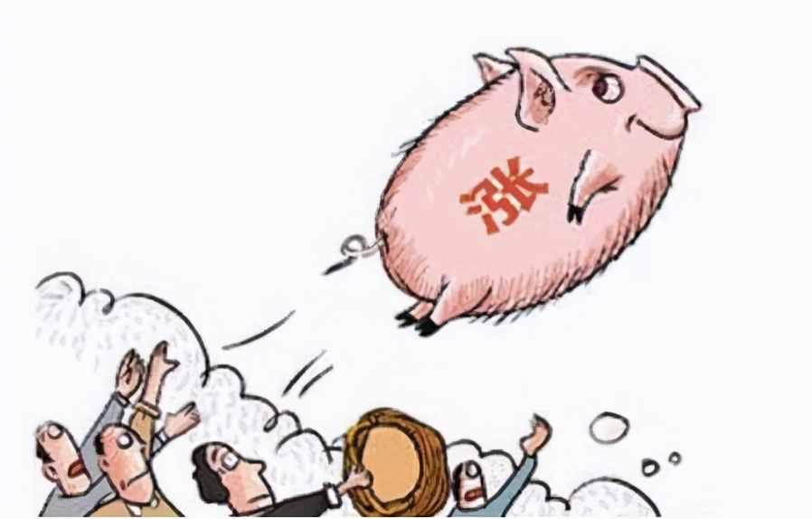 今日仔猪10一15公斤(12月15日10公斤仔猪价格，行情拉涨，明年上半年猪价乐观？)