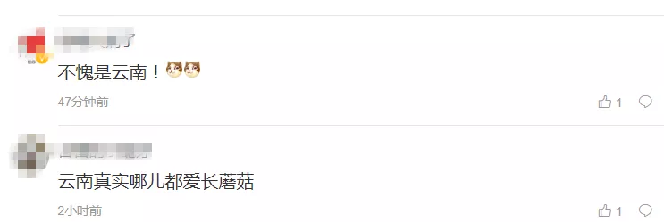 云南真神奇！今早，昆明这朵“大蘑菇”登上热搜第一