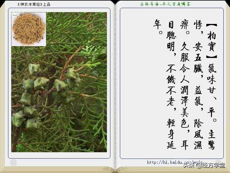 《神农本草经》全册图文解析 建议收藏