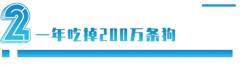 200 世界杯韩国为什么(韩国一年吃掉200万条狗却要禁吃狗肉：不是爱动物，而是讨好西方)