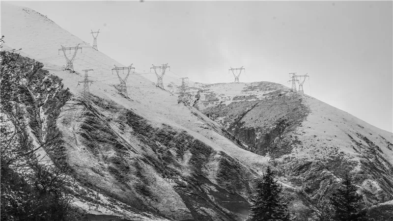 2020高考作文押题（内附最新素材）