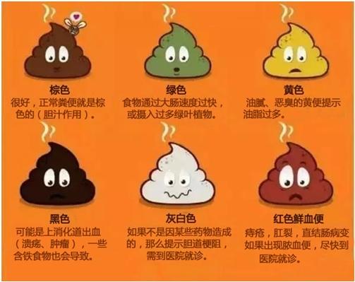 正常的大便为什么是黃色的？黑色，红色，绿色的大便是什么疾病？