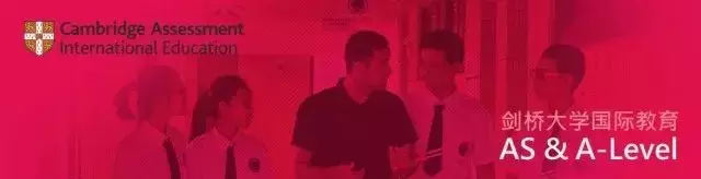 热门名校录取率低于10%？但佛山这所国际学校家长依然争相关注！