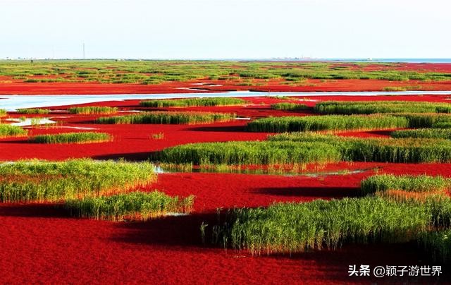 东北这片土地，性格特征强烈，昔日“北大荒”已成“度假胜地”