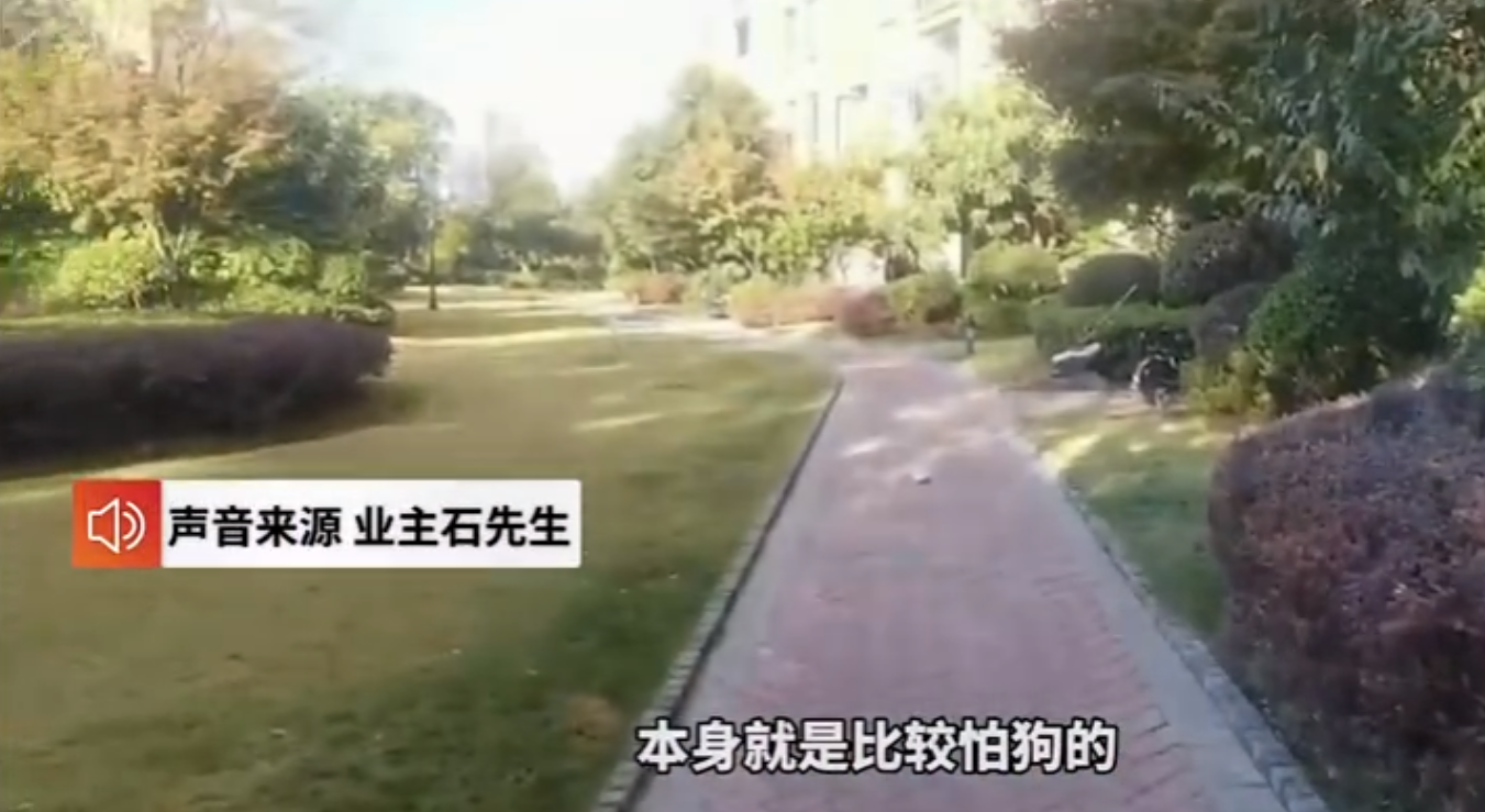 拿命控诉遛狗不牵绳！湖北女子跳楼自杀，被老太围追辱骂近两个月