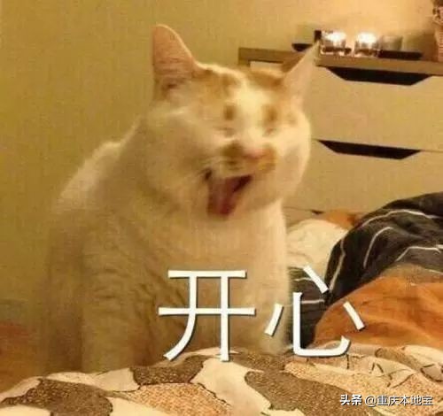 一大波萌宠来袭！国际宠博会落地重庆！还有限量免费门票可以领