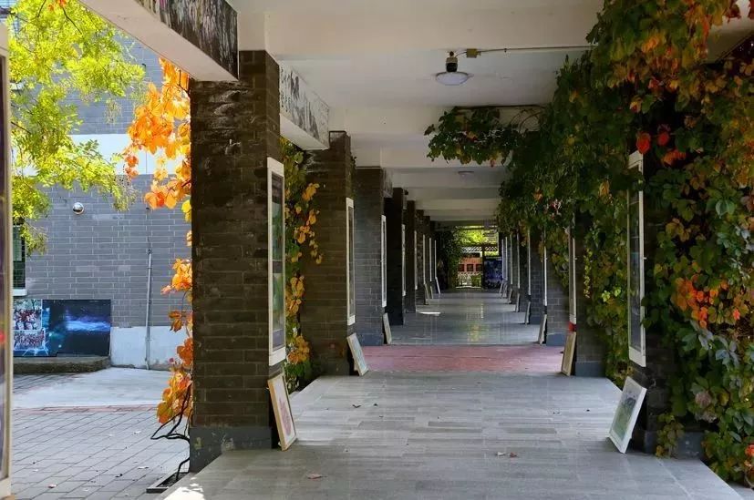 北京第一实验小学 北京第一实验学校简历-起航号