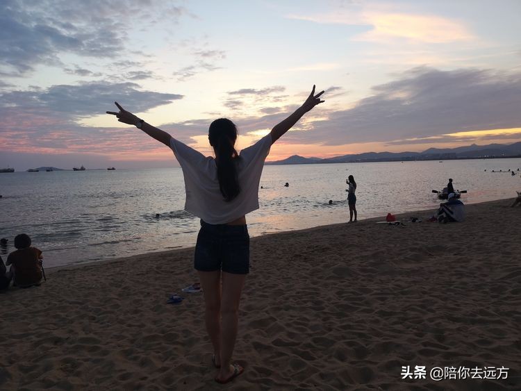 西沙~南海中的一片莲