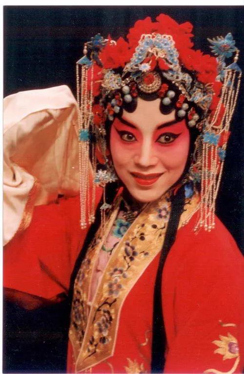 李佩红「李佩红出走」