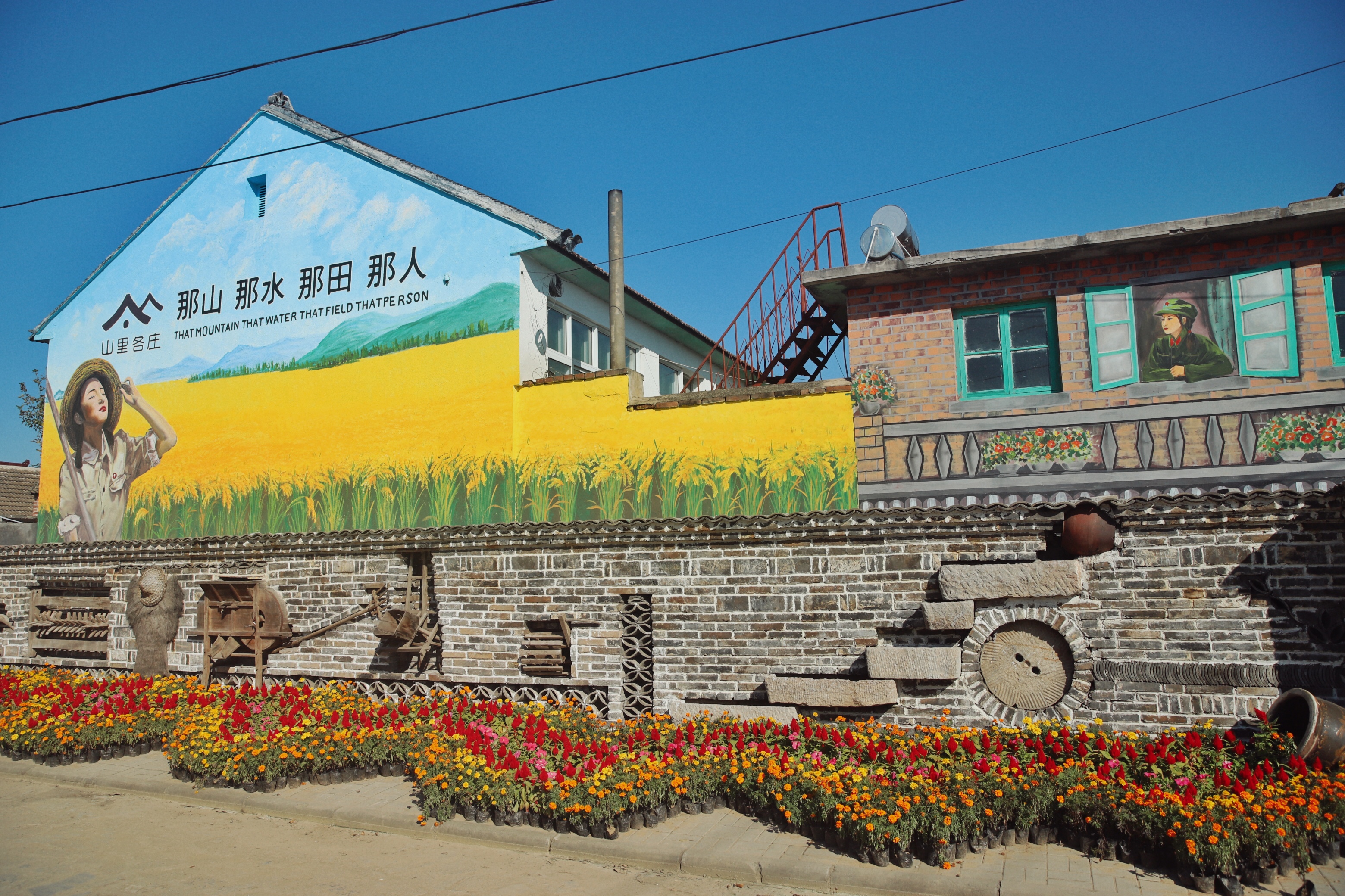 北京出发2小时，超美稻田免费玩～再不去后悔一年