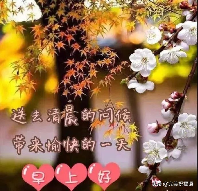清晨最美的早安祝福图片大全，早上好最暖心的问候经典句子