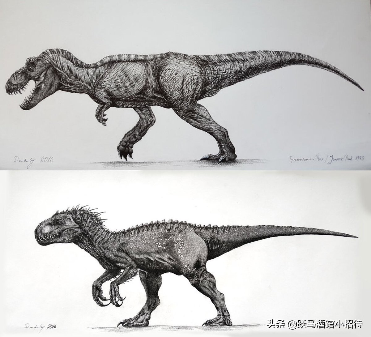 详解《侏罗纪世界》中经过基因改造的暴虐霸王龙