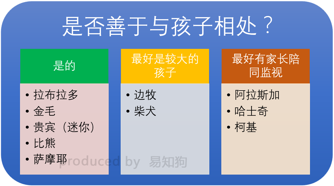 新手养狗必看：国内十大流行犬种横向对比